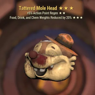 Tattered mole head AP FDC