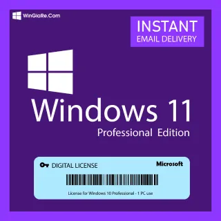 Microsoft Windows 11 Professional License Key. 