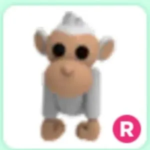 R Albino Monkey