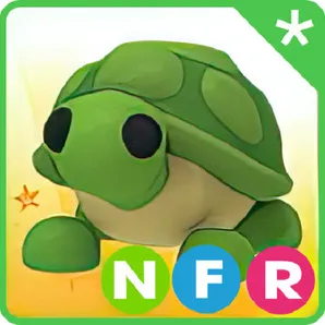 NFR Turtle