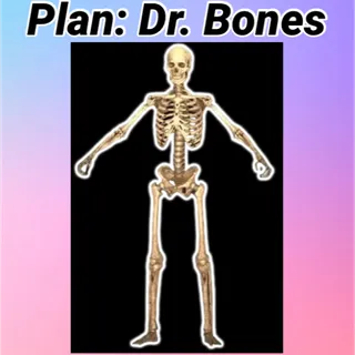 Dr Bones