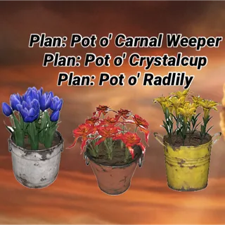 All 3 Pot O Flowers