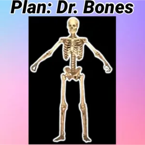 Dr Bones
