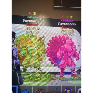 PAVONACCIO JUNGLE & RAINBOW - STB FORTNITE