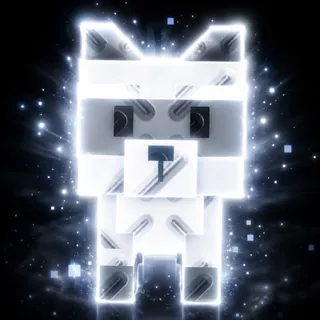 RACCOON