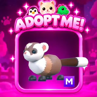 Black Footed Ferret