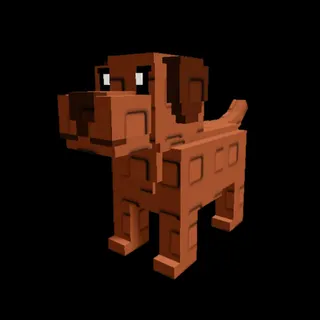 Chocolate Lab
