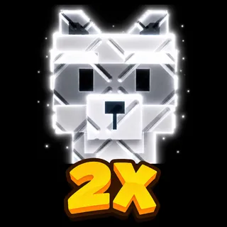 2x RACCOON