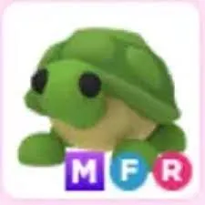 mfr turtle 