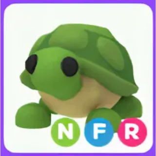 Nfr turtle
