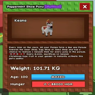 Colossal Show Pony 101KG