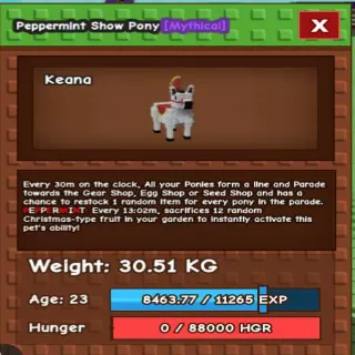 COLOSSAL SHOW PONY 111KG