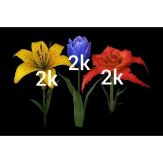 2k Of Each Flower