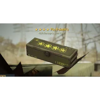 Pin pointer Mod  5x