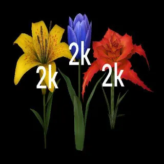 2k Of Each Flower