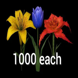 1000 Big Bloom Flower