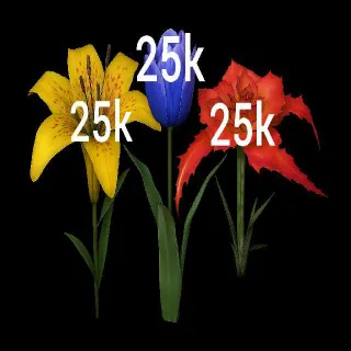 25k Of Each Flowers