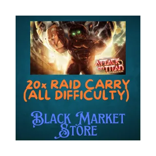 20x CARRY RAIDS IN ALL DIFFICULTY