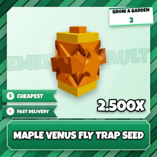 2.500X Maple Venus Fly Trap Seed
