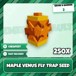 250X Maple Venus Fly Trap Seed