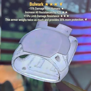 Bulwark