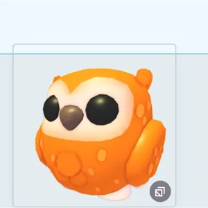 clementine owl
