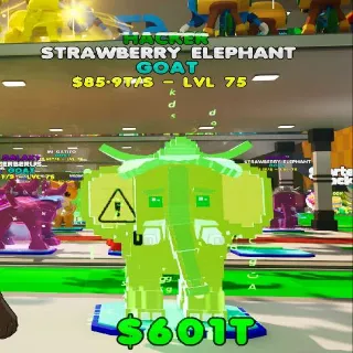 Hacker Strawberry Elephant