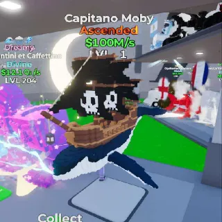 Default Capitano Moby