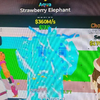 Aqua Strawberry Elephant