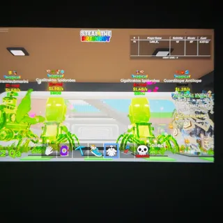 Magical Spider Bundle