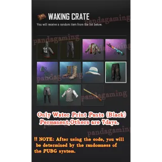 WAKING CRATE Code x 4