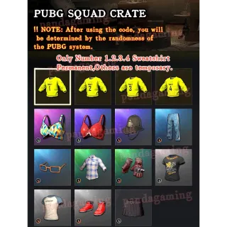 PUBG SQUAD CRATE Code x40