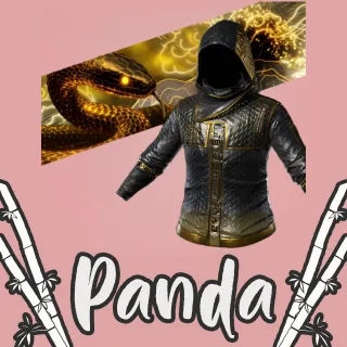 PETRICHOR ROAD 2025 SET