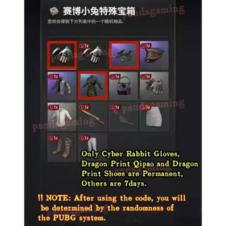 CYBER RABBIT SPECIAL CRATE Code x 5