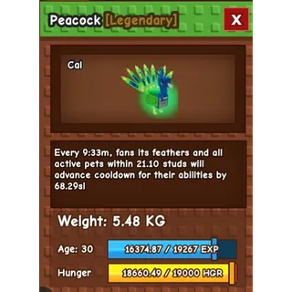 Peacock