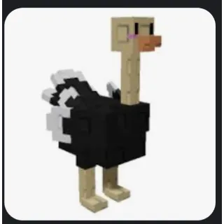OSTRICH