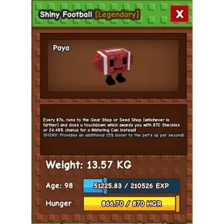 SHINY FOOTBALL   AGE: 98