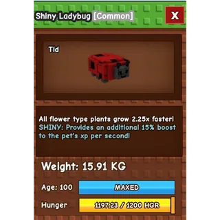 Shiny Ladybug  AGE: 100