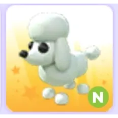 POODLE (NEON)
