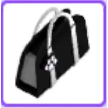 Black Purse