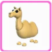 Camel (Neon) 
