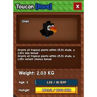 Toucan