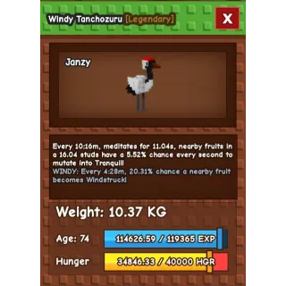 WINDY TANCHOSURU  AGE: 74