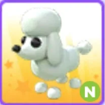 NEON PODDLE AGE: LUMINOUS