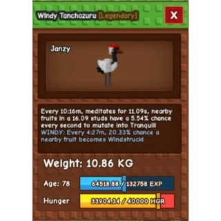 WINDY TANCHOSURU  AGE: 78