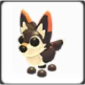 Mexican Wolf