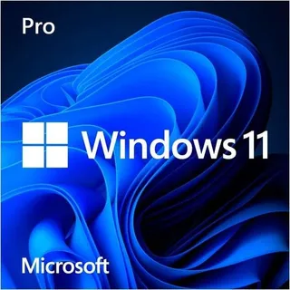 Windows 11 Professionnel