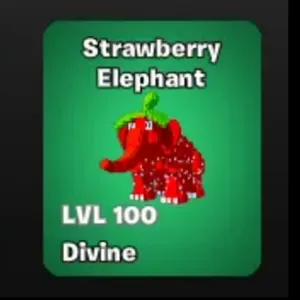 Strawberry Elephant