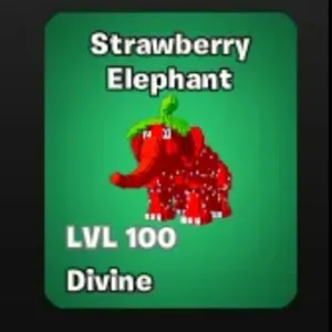 Strawberry Elephant