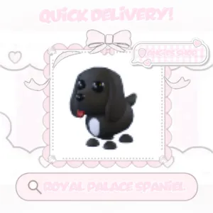 Royale palace spaniel